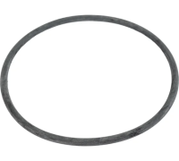 Кольцо уплотнительное для колбы 10SL, MP-У